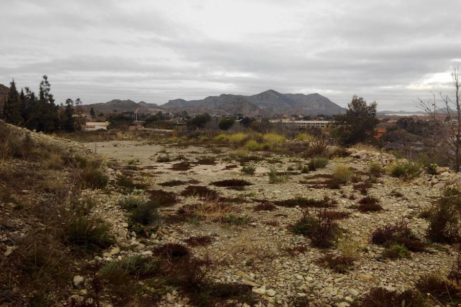 Alicante,Alicante,España,Lotes-Terrenos,25015