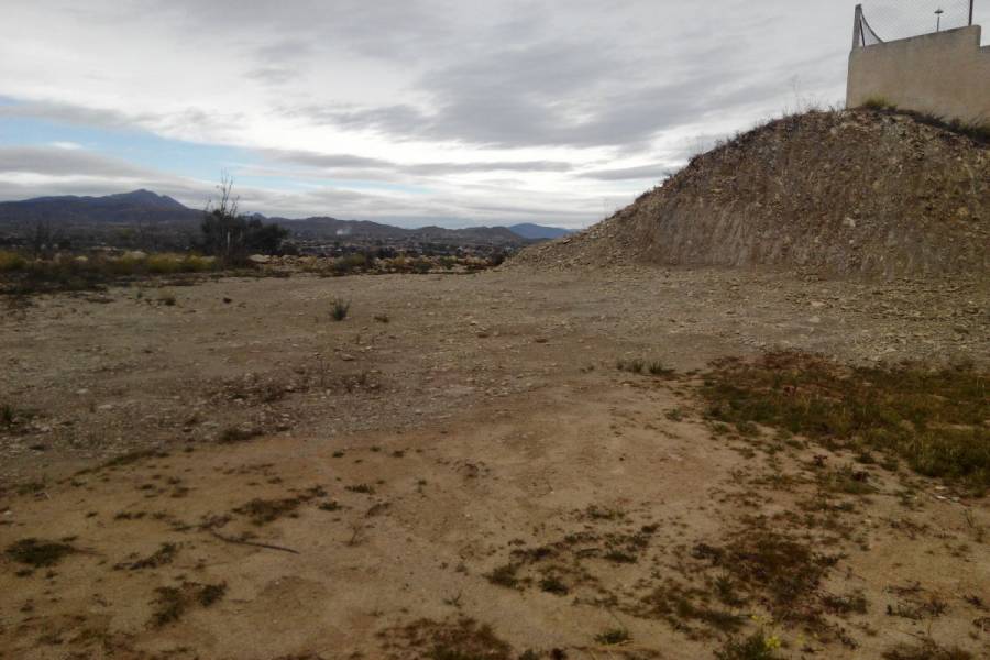 Alicante,Alicante,España,Lotes-Terrenos,25015