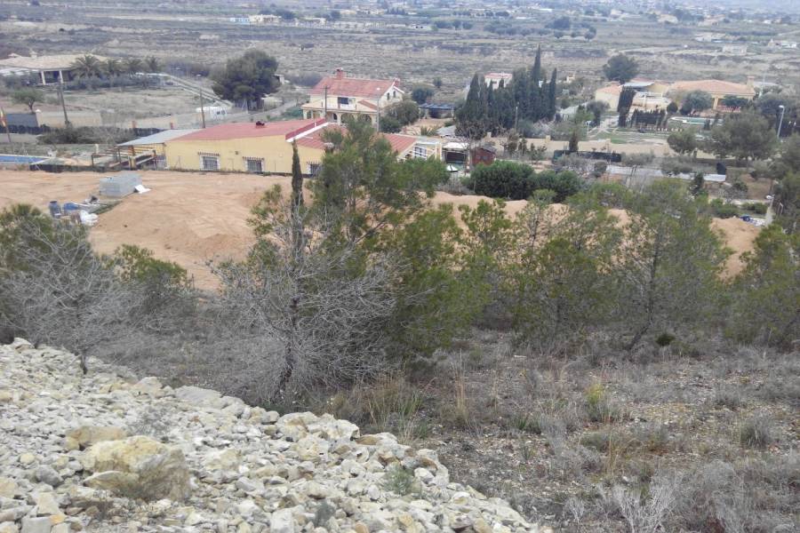 Alicante,Alicante,España,Lotes-Terrenos,25015