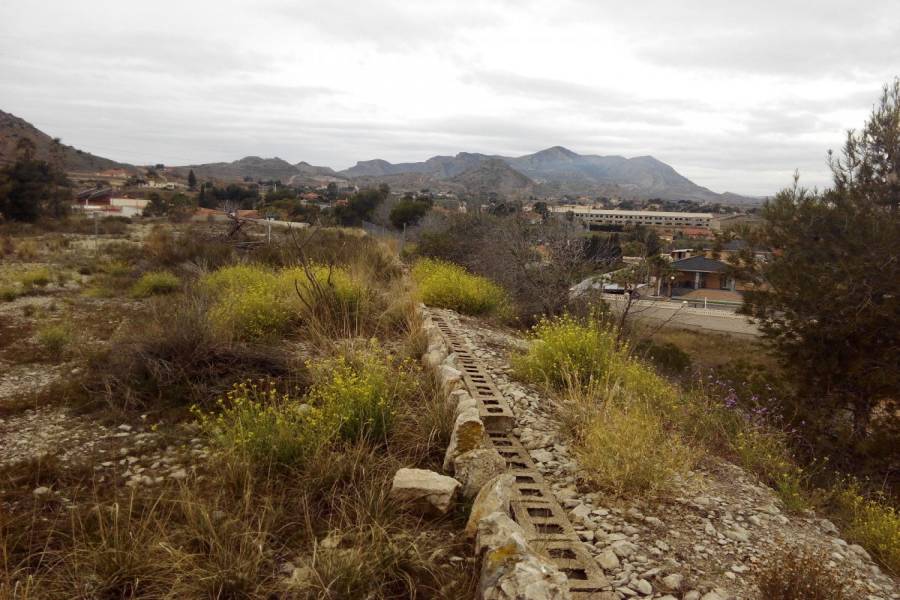 Alicante,Alicante,España,Lotes-Terrenos,25015