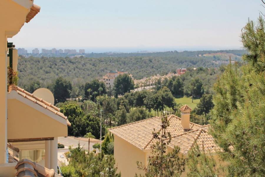 Orihuela Costa,Alicante,España,2 Bedrooms Bedrooms,1 BañoBathrooms,Atico,25075