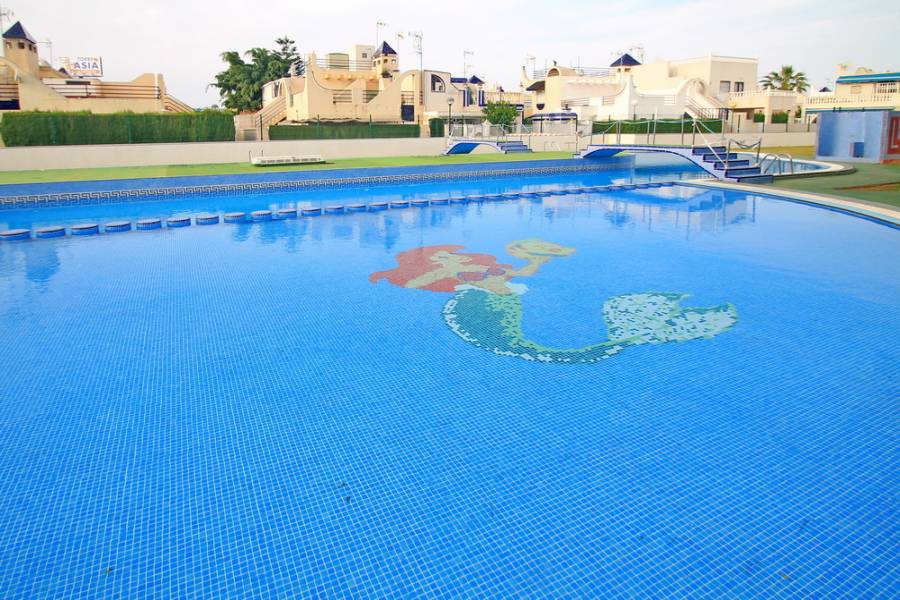 Torrevieja,Alicante,España,2 Bedrooms Bedrooms,1 BañoBathrooms,Bungalow,25099