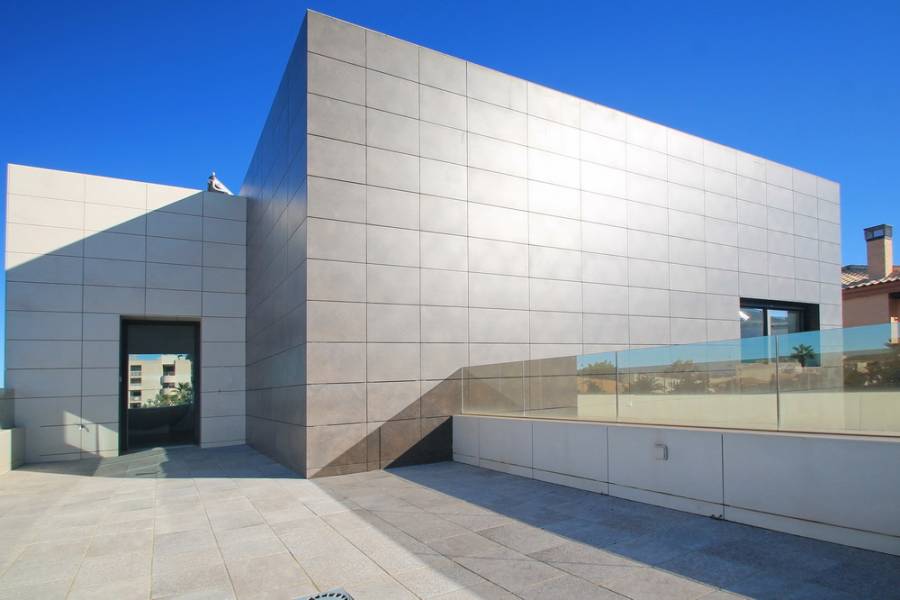 Torrevieja,Alicante,España,5 Bedrooms Bedrooms,4 BathroomsBathrooms,Casas,25130