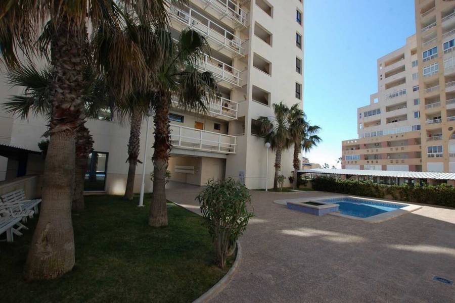 Torrevieja,Alicante,España,2 Bedrooms Bedrooms,2 BathroomsBathrooms,Apartamentos,25137