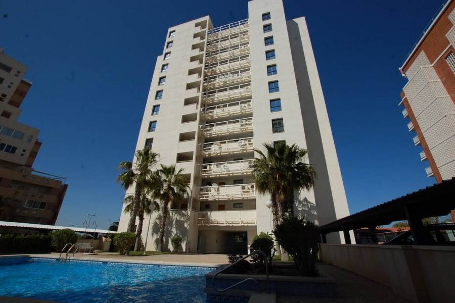 Torrevieja,Alicante,España,2 Bedrooms Bedrooms,2 BathroomsBathrooms,Apartamentos,25137