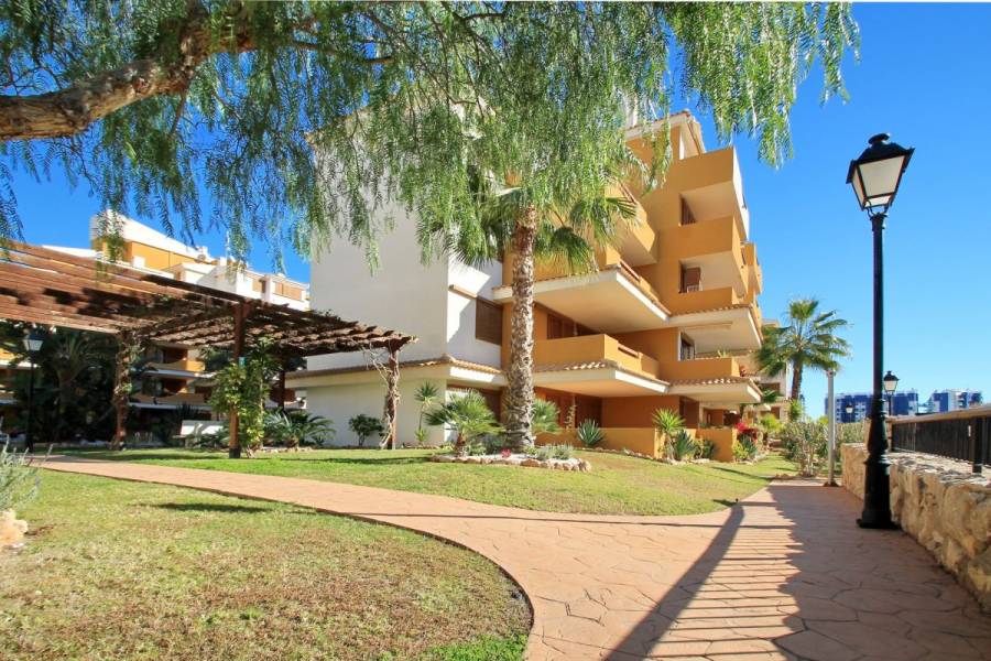 Torrevieja,Alicante,España,2 Bedrooms Bedrooms,1 BañoBathrooms,Apartamentos,25153