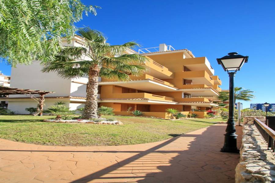 Torrevieja,Alicante,España,2 Bedrooms Bedrooms,1 BañoBathrooms,Apartamentos,25153