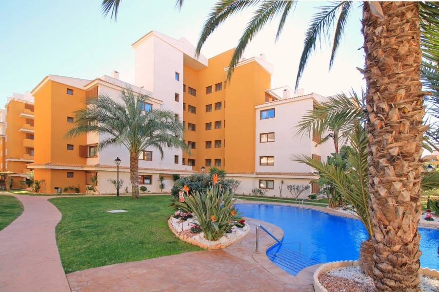 Torrevieja,Alicante,España,2 Bedrooms Bedrooms,1 BañoBathrooms,Apartamentos,25153