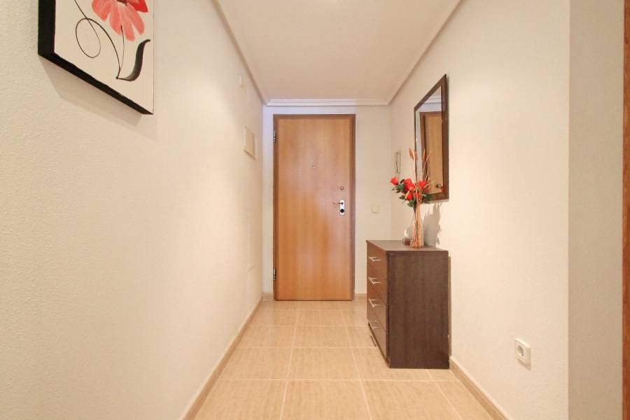 Torrevieja,Alicante,España,3 Bedrooms Bedrooms,2 BathroomsBathrooms,Apartamentos,25162