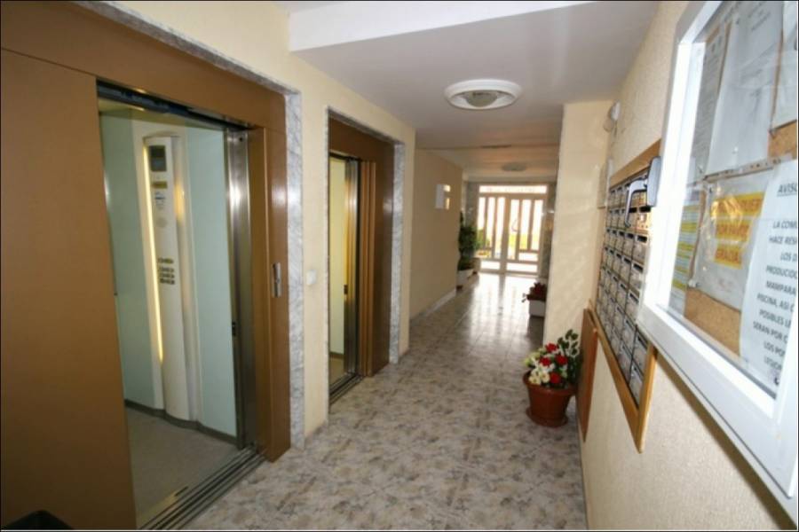 Torrevieja,Alicante,España,2 Bedrooms Bedrooms,1 BañoBathrooms,Atico,25173