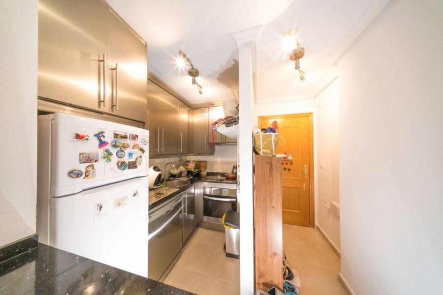 Torrevieja,Alicante,España,1 Dormitorio Bedrooms,1 BañoBathrooms,Apartamentos,25207