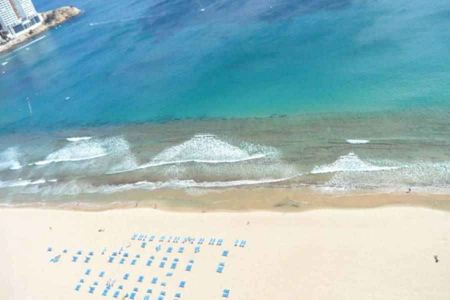 Benidorm,Alicante,España,2 Bedrooms Bedrooms,1 BañoBathrooms,Apartamentos,25428