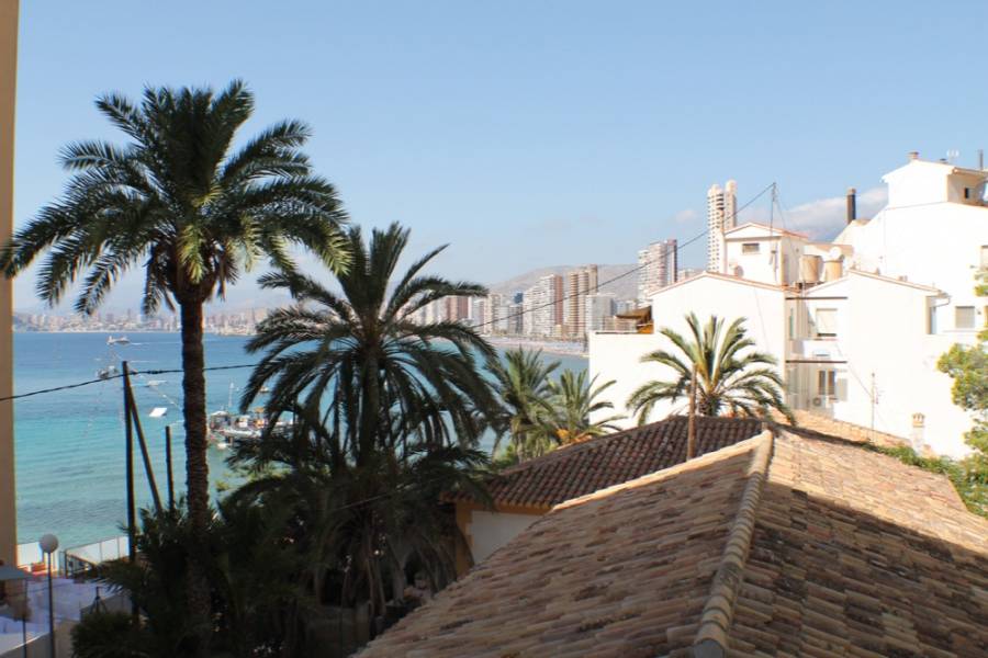 Benidorm,Alicante,España,1 Dormitorio Bedrooms,1 BañoBathrooms,Apartamentos,25452