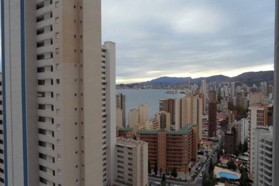 Benidorm,Alicante,España,1 Dormitorio Bedrooms,1 BañoBathrooms,Apartamentos,25457
