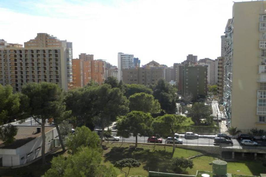Benidorm,Alicante,España,2 Bedrooms Bedrooms,1 BañoBathrooms,Apartamentos,25462