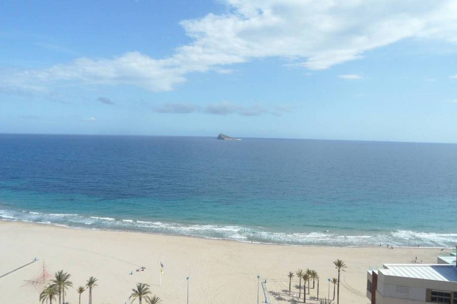 Benidorm,Alicante,España,2 Bedrooms Bedrooms,1 BañoBathrooms,Apartamentos,25511