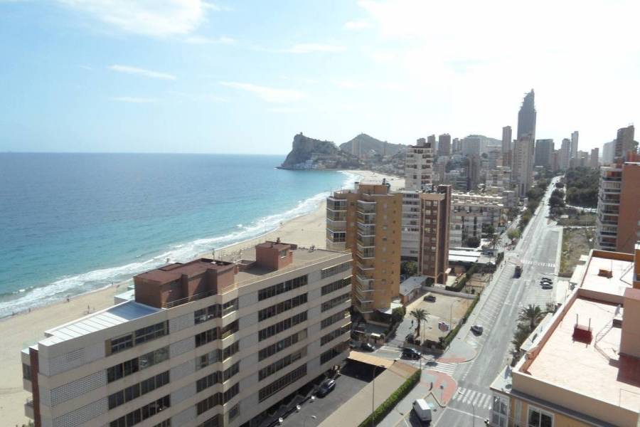 Benidorm,Alicante,España,2 Bedrooms Bedrooms,1 BañoBathrooms,Apartamentos,25511