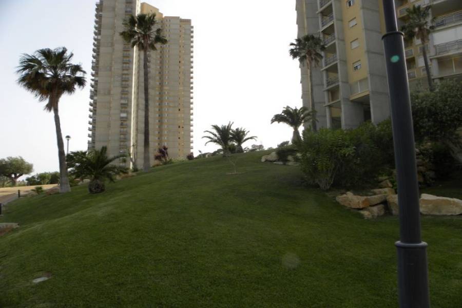 Benidorm,Alicante,España,2 Bedrooms Bedrooms,2 BathroomsBathrooms,Apartamentos,25533