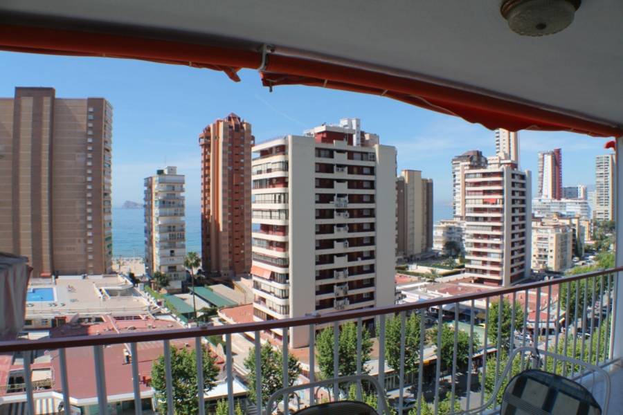 Benidorm,Alicante,España,3 Bedrooms Bedrooms,2 BathroomsBathrooms,Apartamentos,25537