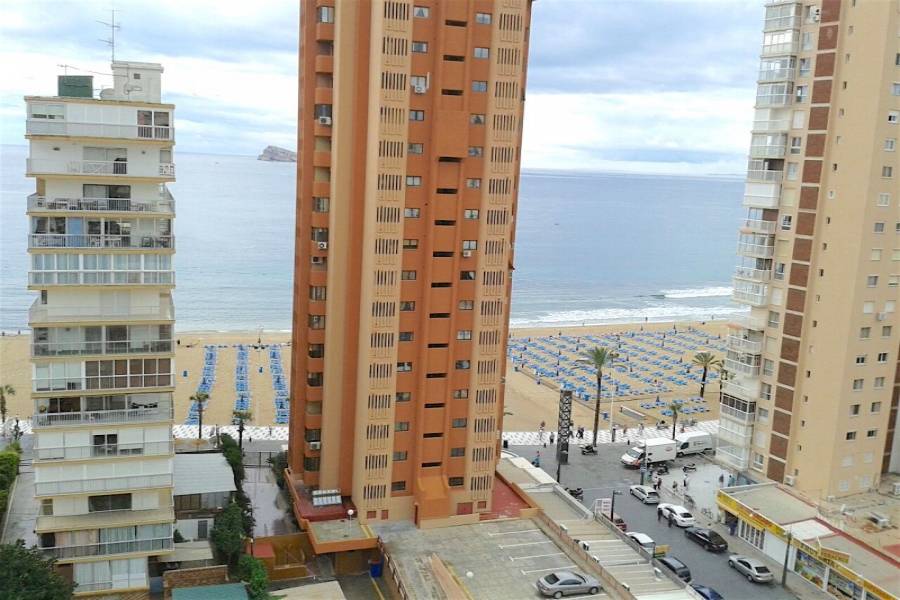 Benidorm,Alicante,España,4 Bedrooms Bedrooms,2 BathroomsBathrooms,Apartamentos,25592