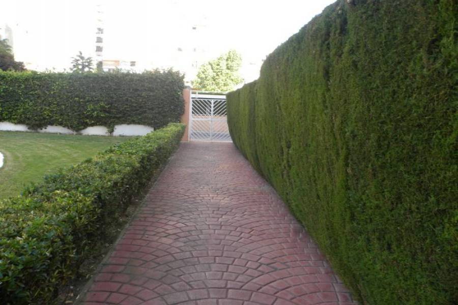 Benidorm,Alicante,España,3 Bedrooms Bedrooms,1 BañoBathrooms,Atico,25593