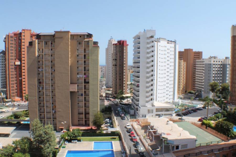 Benidorm,Alicante,España,2 Bedrooms Bedrooms,1 BañoBathrooms,Apartamentos,25595