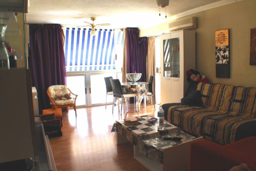 Benidorm,Alicante,España,2 Bedrooms Bedrooms,1 BañoBathrooms,Apartamentos,25595