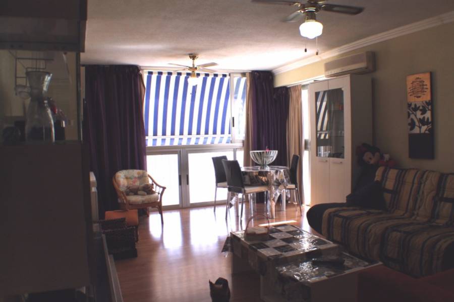 Benidorm,Alicante,España,2 Bedrooms Bedrooms,1 BañoBathrooms,Apartamentos,25595