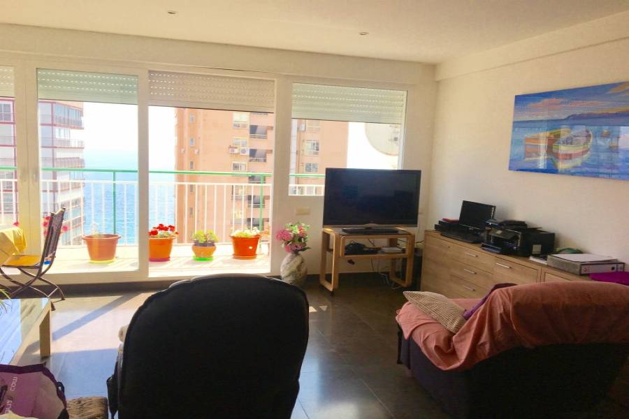 Benidorm,Alicante,España,3 Bedrooms Bedrooms,2 BathroomsBathrooms,Atico,25624