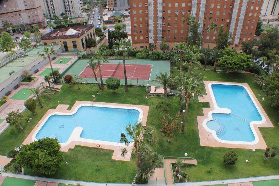 Benidorm,Alicante,España,2 Bedrooms Bedrooms,1 BañoBathrooms,Apartamentos,25629
