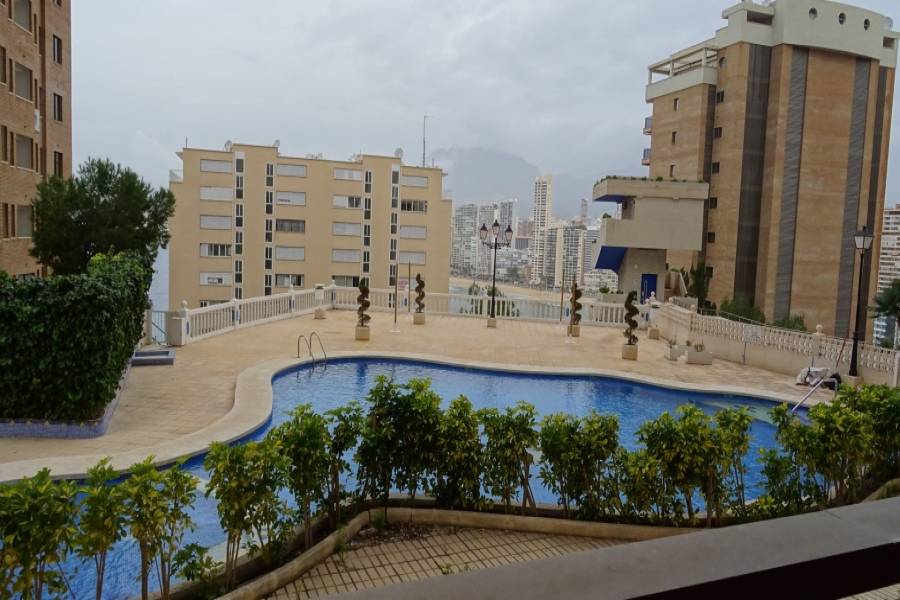 Benidorm,Alicante,España,1 Dormitorio Bedrooms,1 BañoBathrooms,Apartamentos,25632