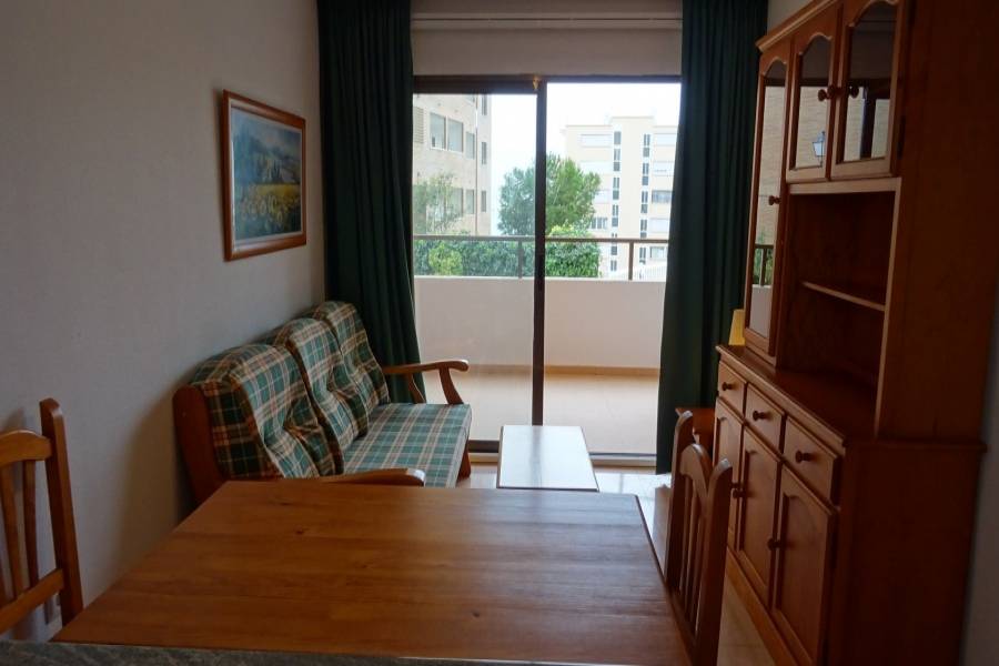 Benidorm,Alicante,España,1 Dormitorio Bedrooms,1 BañoBathrooms,Apartamentos,25632