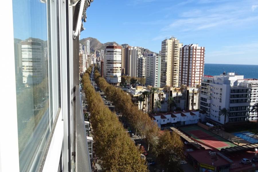 Benidorm,Alicante,España,3 Bedrooms Bedrooms,2 BathroomsBathrooms,Apartamentos,25644