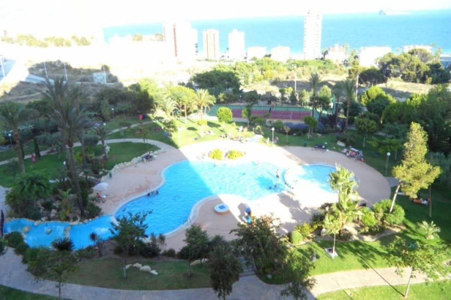 Benidorm,Alicante,España,1 Dormitorio Bedrooms,1 BañoBathrooms,Apartamentos,25735