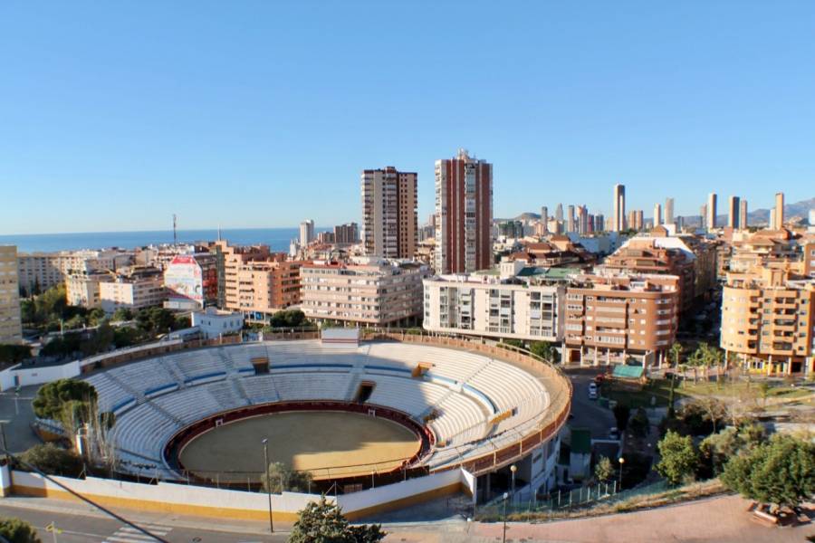 Benidorm,Alicante,España,2 Bedrooms Bedrooms,1 BañoBathrooms,Apartamentos,25776
