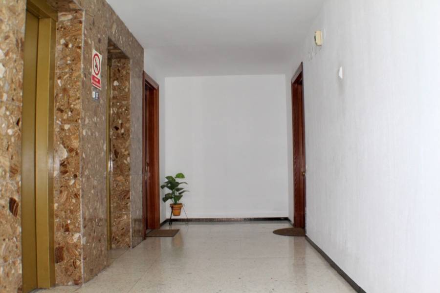 Benidorm,Alicante,España,3 Bedrooms Bedrooms,1 BañoBathrooms,Apartamentos,25780