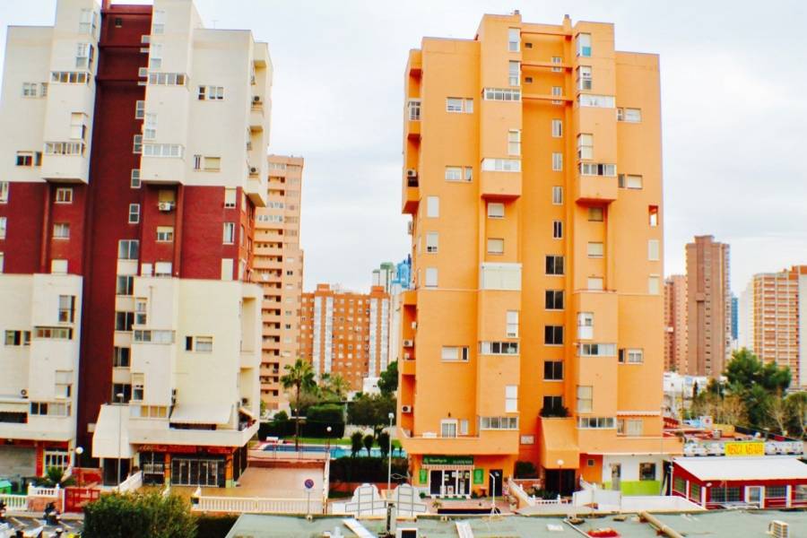 Benidorm,Alicante,España,1 Dormitorio Bedrooms,1 BañoBathrooms,Apartamentos,25786