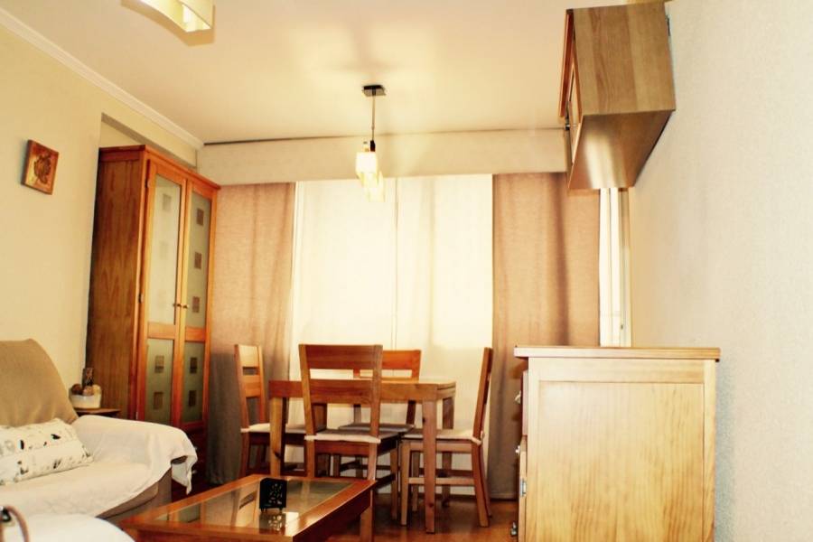 Benidorm,Alicante,España,1 Dormitorio Bedrooms,1 BañoBathrooms,Apartamentos,25786