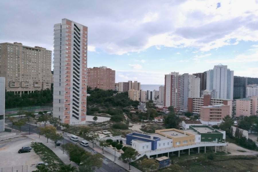 Benidorm,Alicante,España,1 Dormitorio Bedrooms,1 BañoBathrooms,Apartamentos,25793