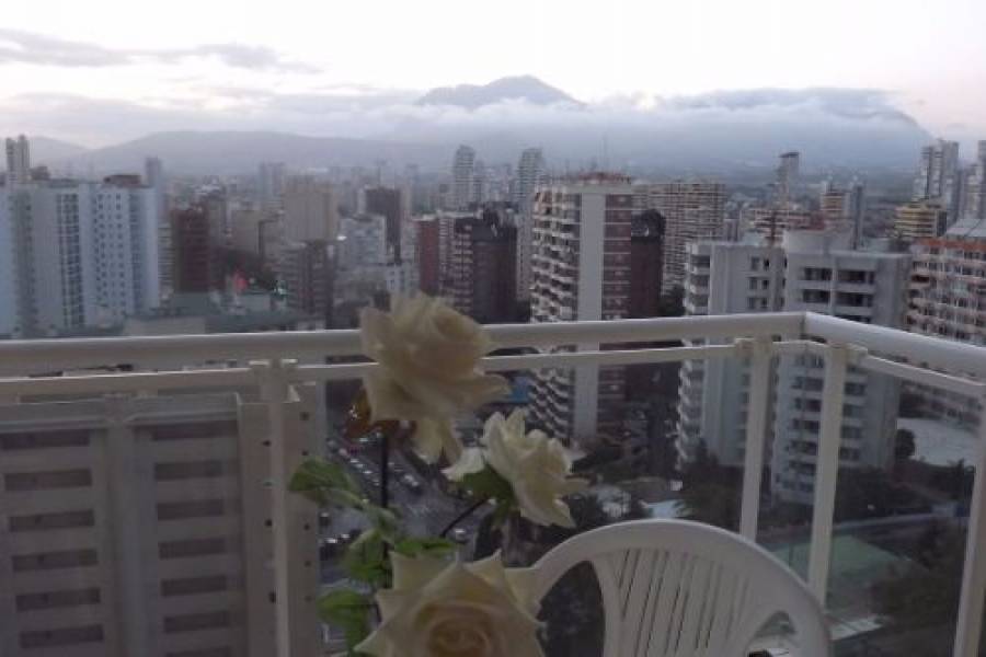 Benidorm,Alicante,España,1 Dormitorio Bedrooms,1 BañoBathrooms,Apartamentos,25797
