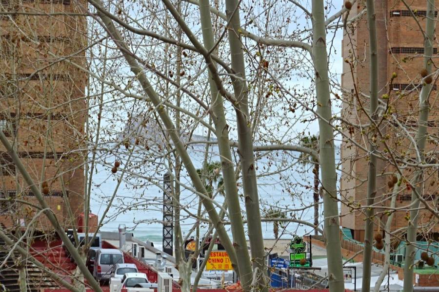 Benidorm,Alicante,España,3 Bedrooms Bedrooms,2 BathroomsBathrooms,Apartamentos,25815