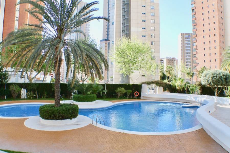 Benidorm,Alicante,España,1 Dormitorio Bedrooms,1 BañoBathrooms,Apartamentos,25826