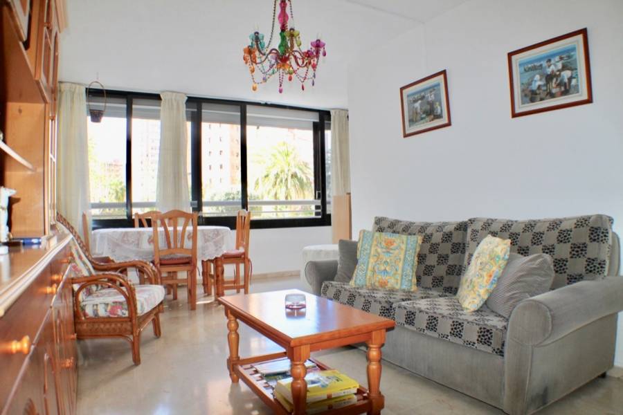 Benidorm,Alicante,España,1 Dormitorio Bedrooms,1 BañoBathrooms,Apartamentos,25826