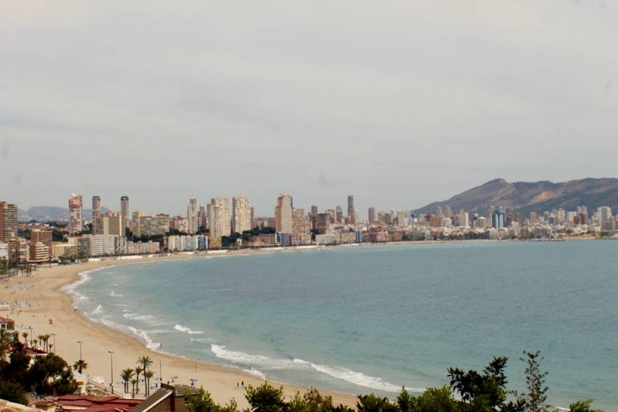 Benidorm,Alicante,España,1 Dormitorio Bedrooms,1 BañoBathrooms,Apartamentos,25837