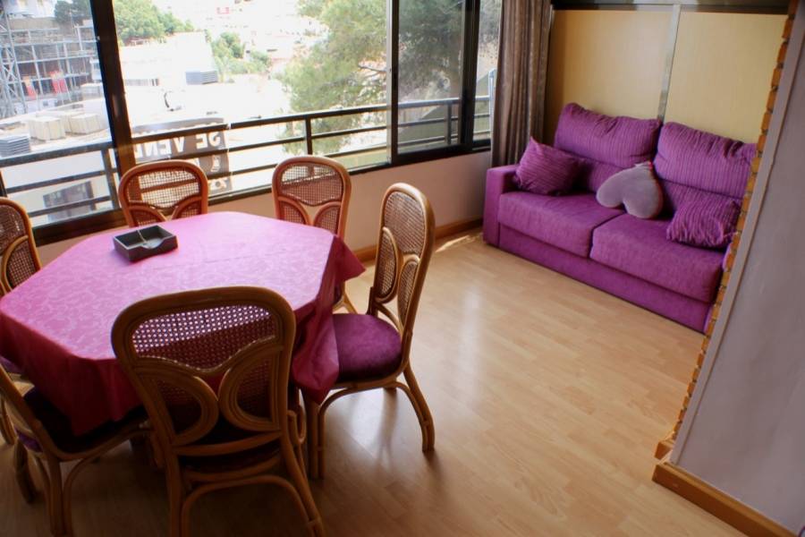 Benidorm,Alicante,España,1 Dormitorio Bedrooms,1 BañoBathrooms,Apartamentos,25837