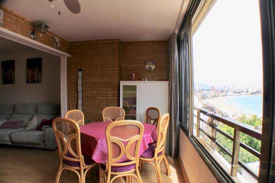 Benidorm,Alicante,España,1 Dormitorio Bedrooms,1 BañoBathrooms,Apartamentos,25837