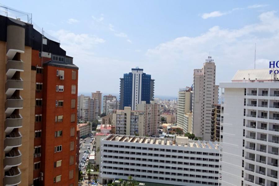 Benidorm,Alicante,España,4 Bedrooms Bedrooms,2 BathroomsBathrooms,Atico,25853