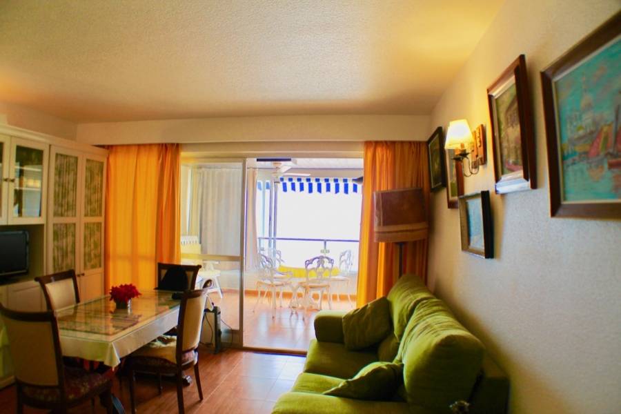 Benidorm,Alicante,España,1 Dormitorio Bedrooms,1 BañoBathrooms,Apartamentos,25864