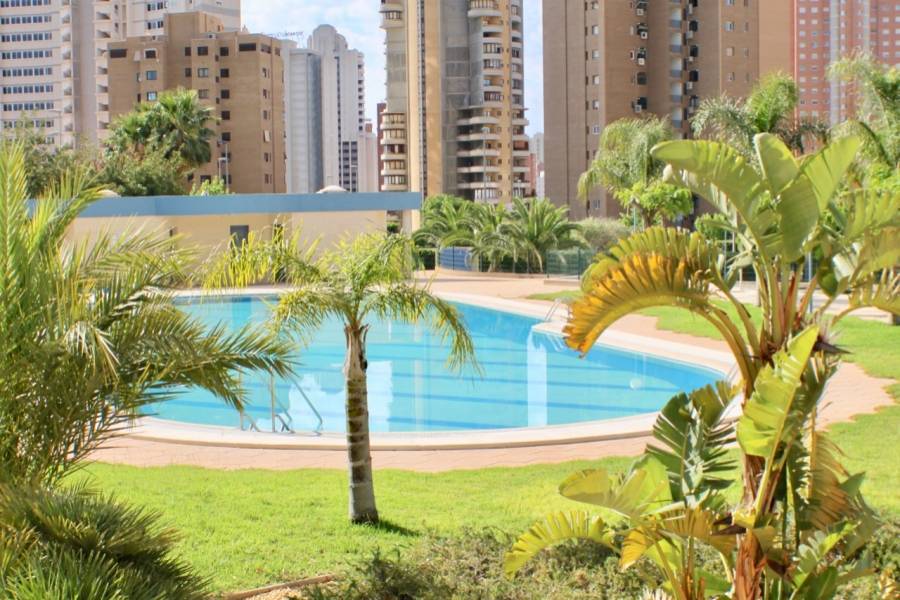 Benidorm,Alicante,España,2 Bedrooms Bedrooms,2 BathroomsBathrooms,Apartamentos,25878
