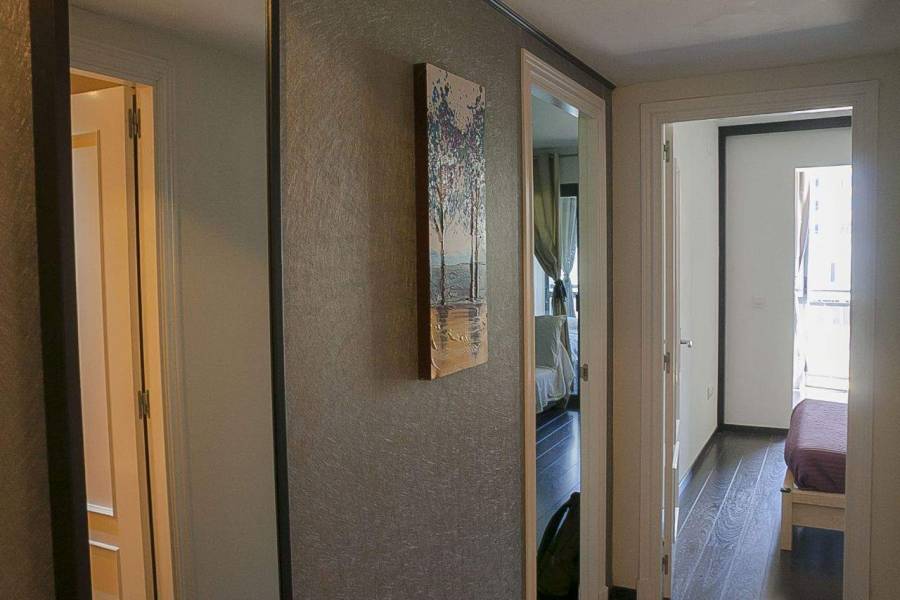 Benidorm,Alicante,España,1 Dormitorio Bedrooms,1 BañoBathrooms,Apartamentos,26678